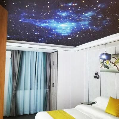 Starry Sky Star Ceiling LED Panel Light for Home Theater