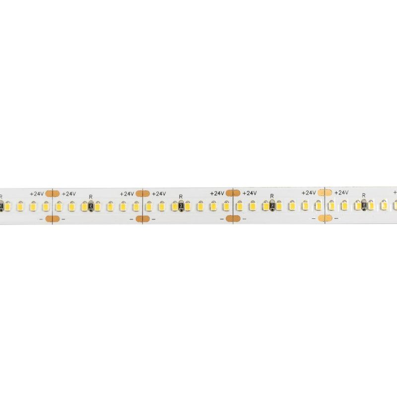 2216 240LED/M White 12V/24V LED Lights for Christmas Decoration LED Strip Light