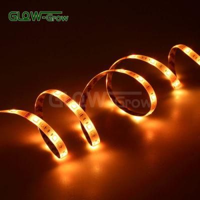 5050 ETL Listed RGB CCT Flexible LED Strip Light with Remote Controller
