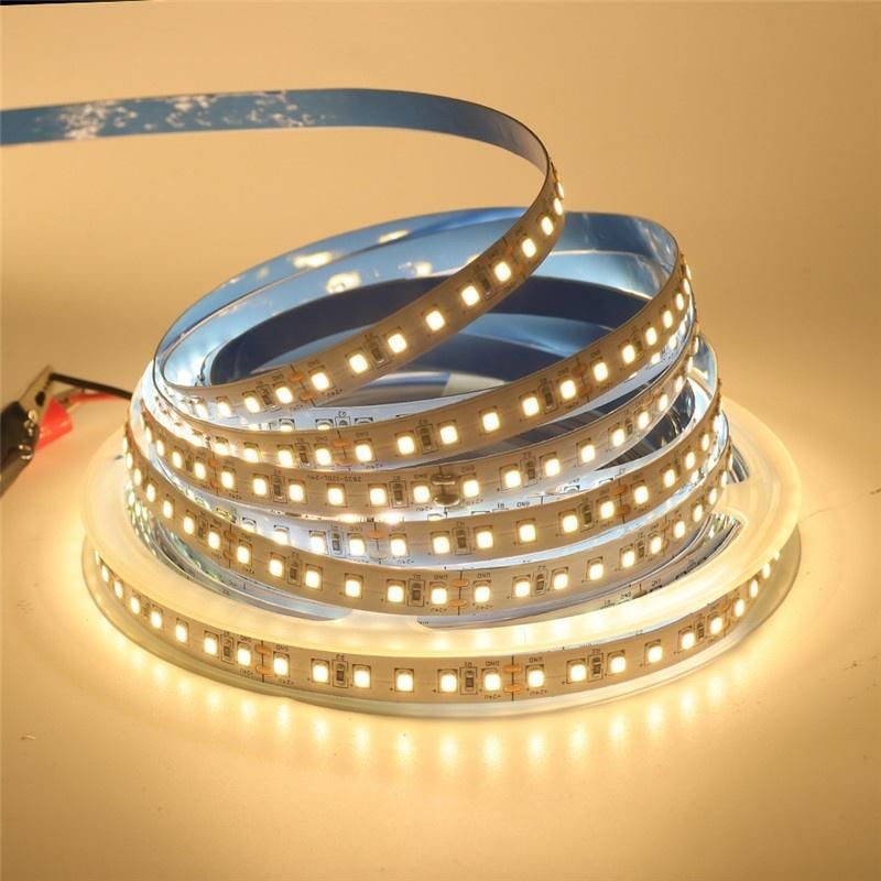 203lm/W Super Bright DC24V SMD2835 White LED Flexible Tape Light Strip