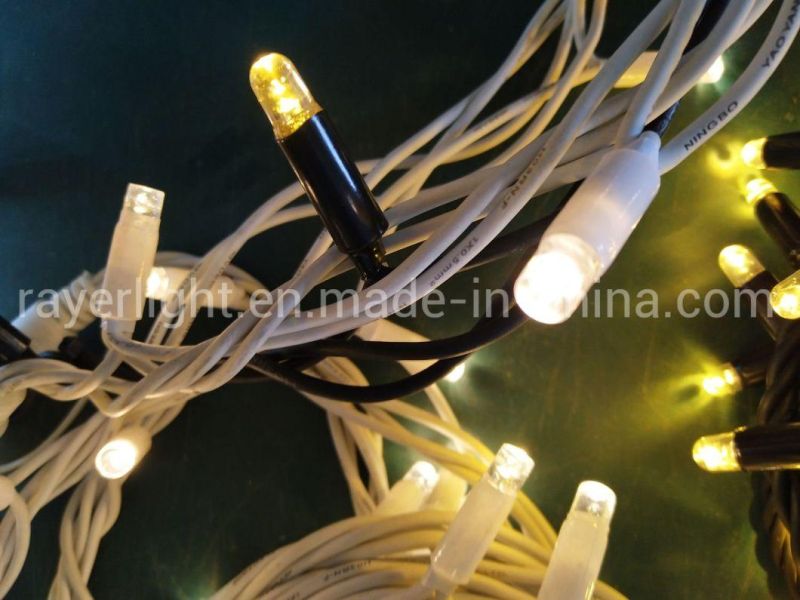 LED High Quality String Lights LED Rubber Cable Outdoor Wedding Decoration