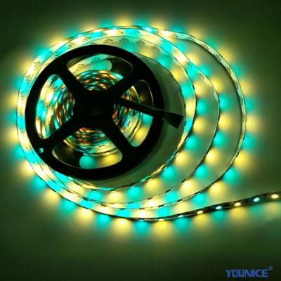 5 Year Warranty RGB SMD5050 LED Flexible Strip for Decoration Project