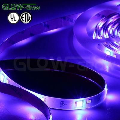 RGBW Color Changing Dimmable Lighting 24V LED Strip Light with ETL Listed