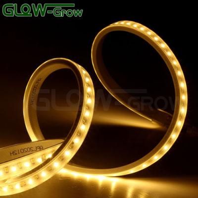 144LEDs/M Dual Color White Green LED Rope Light Flexible LED 2835 Strip Light