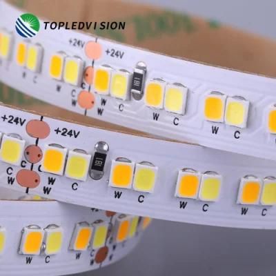 High Lumen CCT Changing Color SMD2835 LED Strips 240LEDs/M