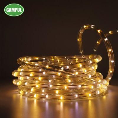 China Color Changed White Flexible LED Decorative Rope Light 3528SMD
