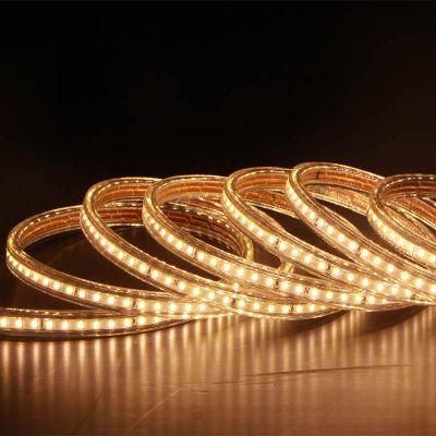 5 Meter Length Kit Flexible LED Strip Light LED Rope Light LED Ribbon for Outdoor Using IP65 SMD 2835 Linkable up to 50 Meters