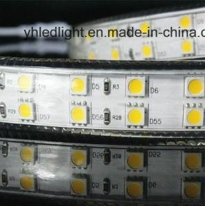 High Lumen LED Strip Light with ETL Certificate Approved 5050