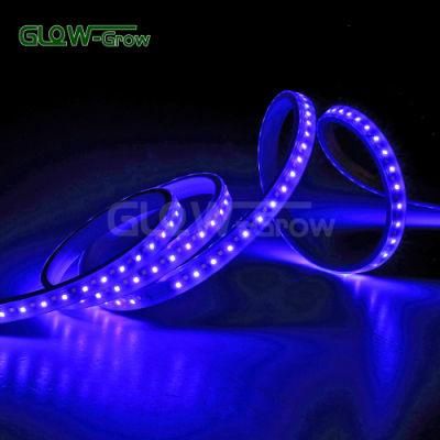 100m 230V SMD 2835 IP65 Dual Color Strip Light with Tow Chips LED