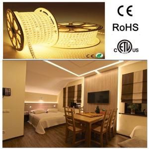 5050 IP67 Waterproof Flexible 110V 120V LED Strip for Outdoor/Indoor Decoration