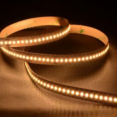 SMD2216 240LEDs/m DC12V/24V 10mm High Quqlity LED Strip with Super brightness