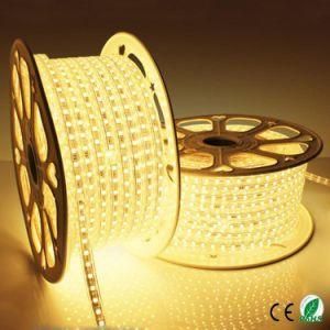 Warm White SMD5050 LED Ribbon with Ce RoHS Certificate