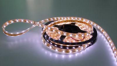 Waterproof IP65 LED Light Strip with Crystal Resin (FG-LS60S3528EW)