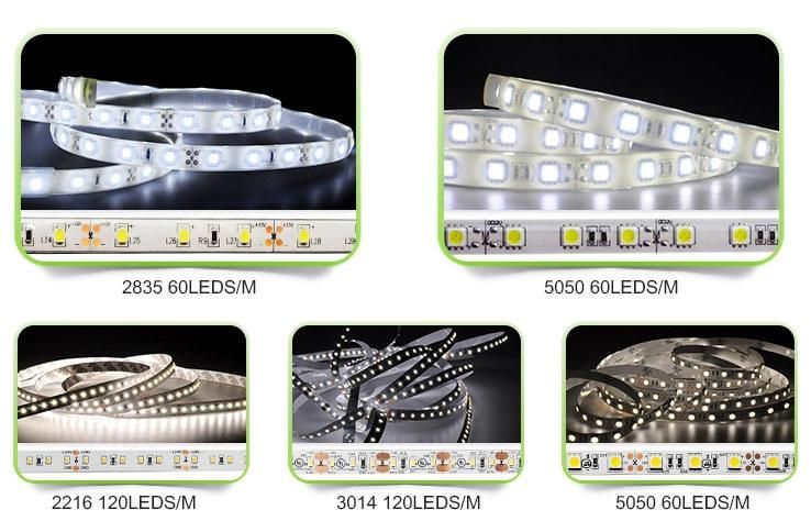 Ce RoHS Approved High Brightness Waterproof Flexible LED Strip 12V DC 5050 LED Strip White LED Christmas Light LED Light Rope Light