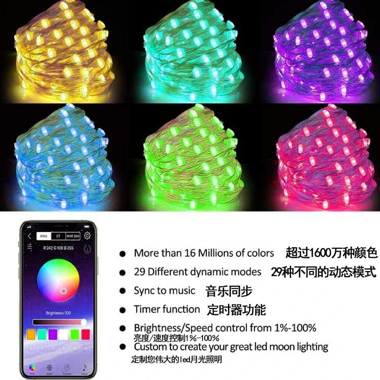 Waterproof APP Control USB Powered 5V Magic RGB Cooper Wire LED String for Christmas Tree Decoration