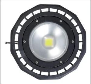 33W LED Projection Light with 3-5 Years Warranty Ce RoHS