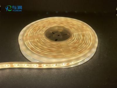 2700K 2835SMD IP68 Waterproof LED Strip for Outdoor Lighting