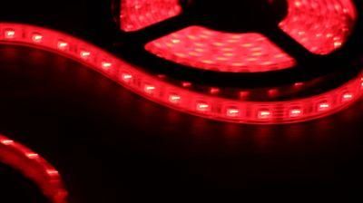 PU Clear IP68 LED Strip Light/Flex Strip/Strip Light