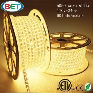 SMD5050 60LED/M RGB/White/Warm White Flexible LED Color Changing Strips Light