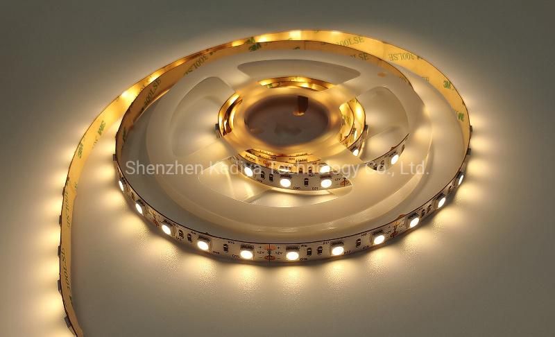 Shenzhen LED Light Strip LED Lighting 12V/24VDC 5050 Warm White LED Strip 5m RGB Colorful Lights
