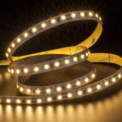 Decoration SMD3528 LED Strip Lighting with Competitive Price