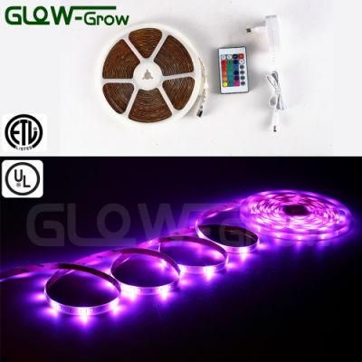 Outdoor Lighting Purple 12V RGBW LED Strips with UL Approval