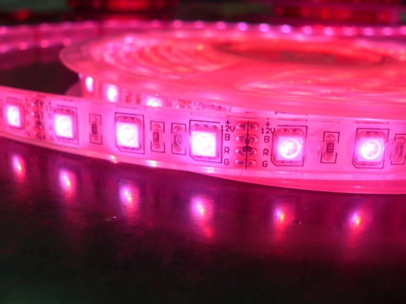 SMD 5050 RGB DC 12V Changeable Neon Strip Waterproof IP68 Indoor LED Strip Light