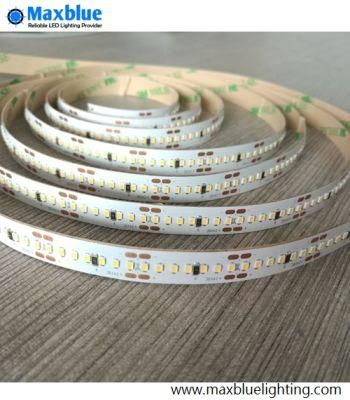 High Density 300LEDs Per Meter 2216 SMD LED Strip Light