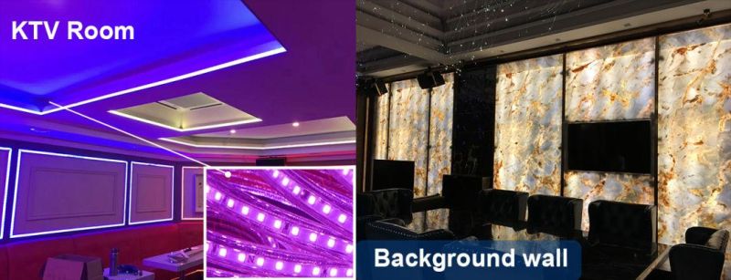AC230V Ce RoHS Certified Flexible LED Strip Light with Power Suppy 16.4FT / 5 Meters Length Linkable up to 50 Meters SMD2835 600LEDs
