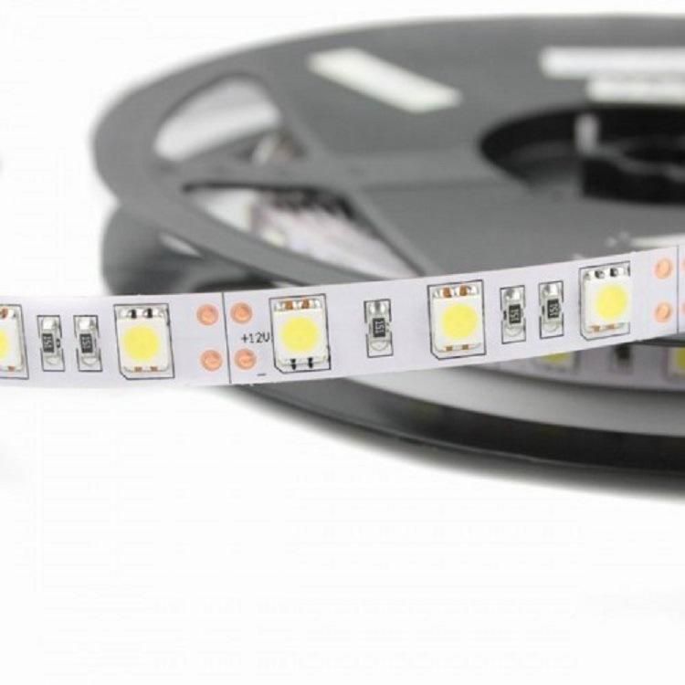 Programmable Digital Full Color LED Strip with 5050 12V/24V Chips