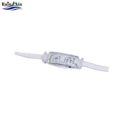 2LEDs SMD5050 RGB Curtain Light for Theme Park