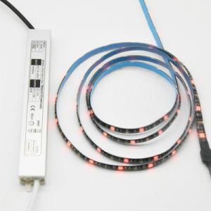 30LED/M IP65 Waterproof LED Strip 12V 24V with IP67 Driver Adapter