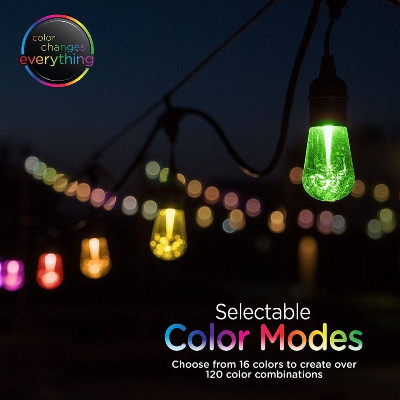 LED Warm White & Color Changing Cafe String Lights with Oil-Rubbed Bronze Lens Shade