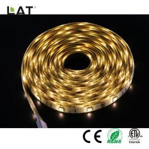 DC12V IP65 Double CCT SMD5025 1m Ww and Cw 30LEDs Flexible LED Strip Light