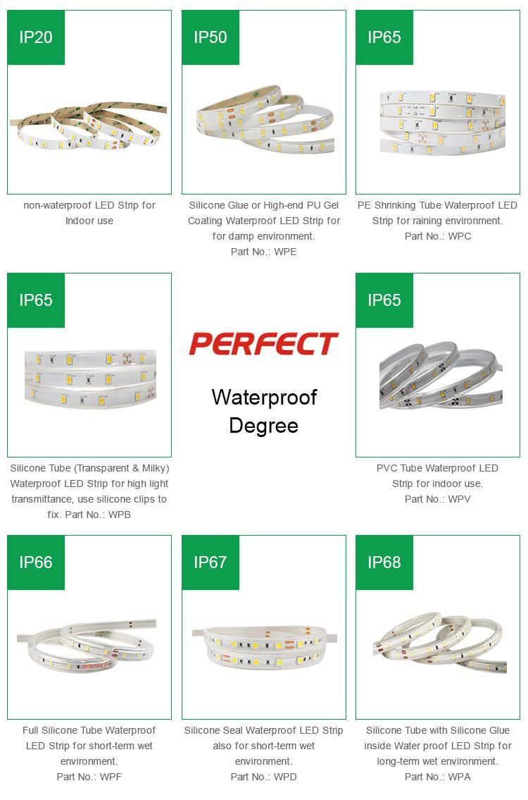 IP20 IP44 IP65 Super Bright COB LED Strip Light