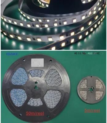 100lm/W DC24V 8mmpcb Digital Control SMD2835 LED Tape Light Flexible Strip