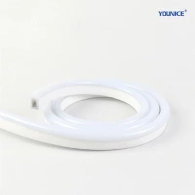 UV Resistance Spi 5050 RGB LED Neon Strip with Stable Signal for Showcase Lighting