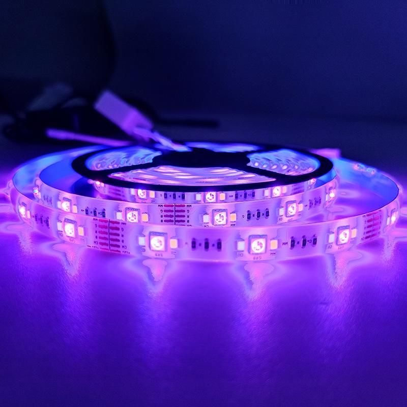 RGBW Party Christmas RGB Color LED Strip APP Controlled IP65 Colorful RGB Strip Light