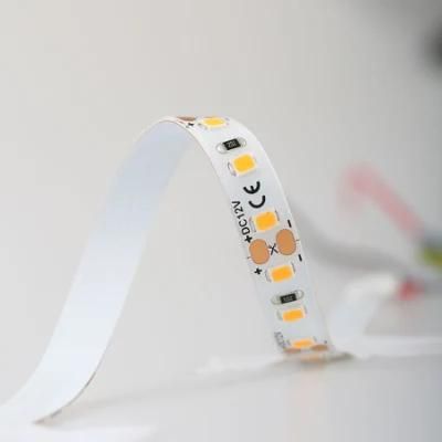 SMD2835 60LED Strip LED IP65 Waterproof Flexible 2700K Warm White for Project