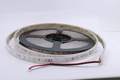 Ultra Homogeneous Warm White Non-Waterproof 5050 48LEDs/M LED Strip with Ce RoHS Certification