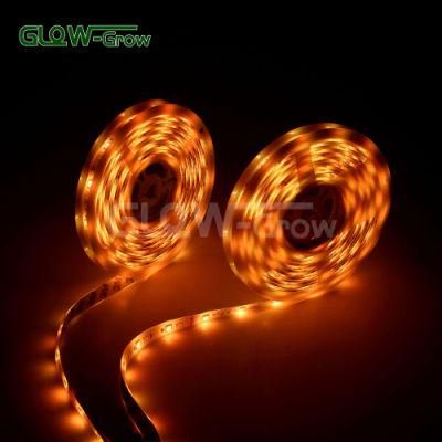 UL 5050 Rgbcct Color Temperature Adjustable LED Strip Light for Bookshelf Decoration