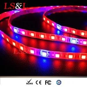 DC12/24V 60LEDs/M LED Plant Grow Strip Light Ce&RoHS