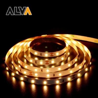 15m/Roll SMD2835 Long Flexible Rope Light 12V 24V LED Strip with TUV CE, IEC