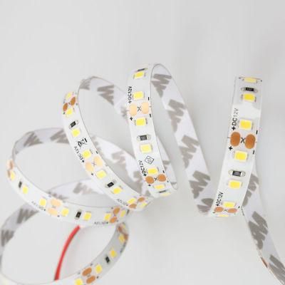 CE RoHS 12V LED Strip Waterproof Flexible Silicon Spraying LED Strip