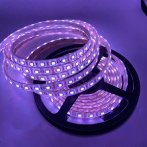 Factory Direct SMD3528 5mm 8mm 12mm 4.8W/M AC220V DC6V 12V 24V 60LEDs/M LED Strip Light for Decoration