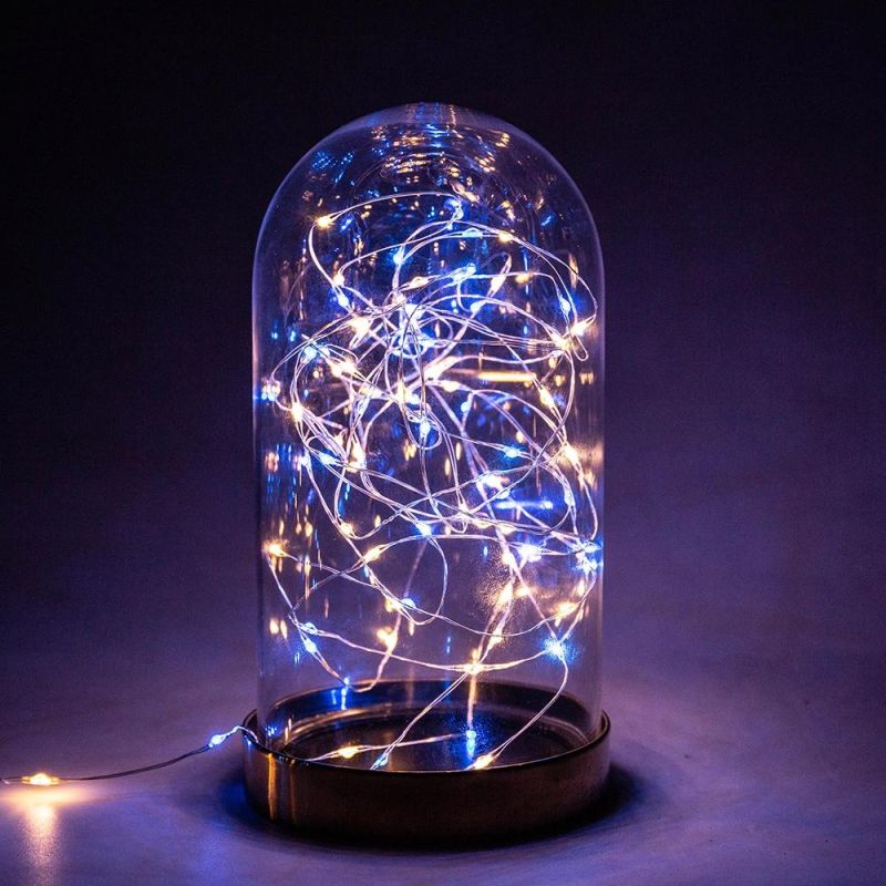 1000 LEDs Blue Warm White Fairy String Light