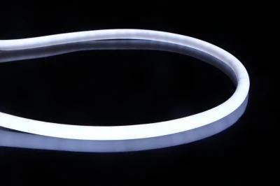 Top Quality LED Lighting Flexible LED Neon 220V