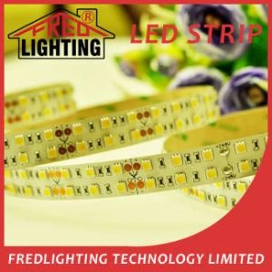 High Brightness, 120LEDs/M SMD5050 Double Line LED Strips