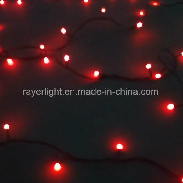 Coloeful Lights RGB Color Changing DMX Outdoor LED Kerstverlichting Christmas Light LED String