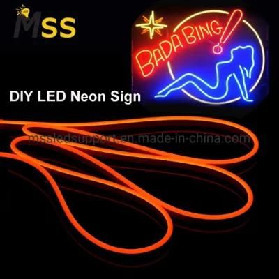 Hot Selling DC12V/ 24V Silicon Neon LED Light Strip